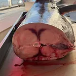 Дом отдыха La Casa Di Ale