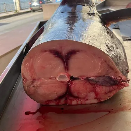 Дом отдыха La Casa Di Ale