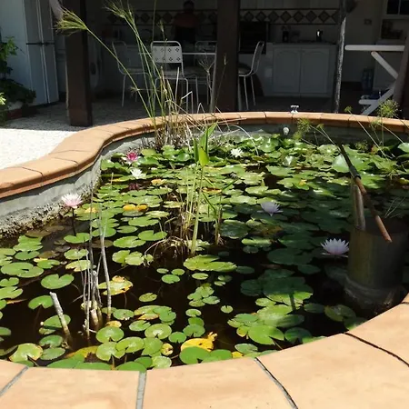 La Casa Di Ale Holiday home *